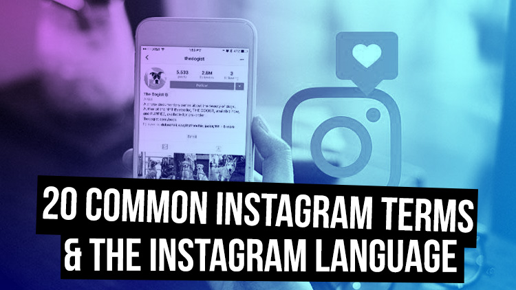 23 common instagram terms the instagram language - follow app that searches bio instagram